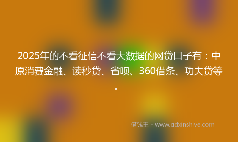 2025年的不看征信不看大数据的网贷口子有：中原消费金融、读秒贷、省呗、360借条、功夫贷等。