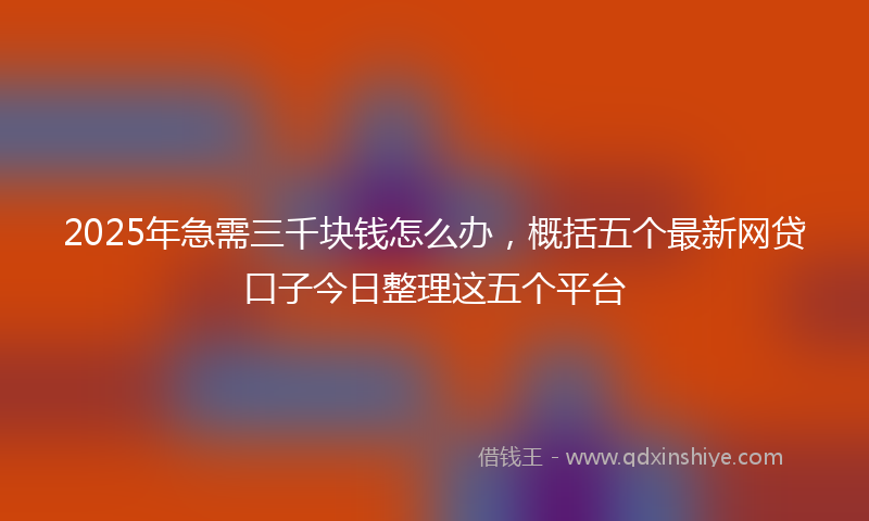 2025年急需三千块钱怎么办，概括五个最新网贷口子今日整理这五个平台