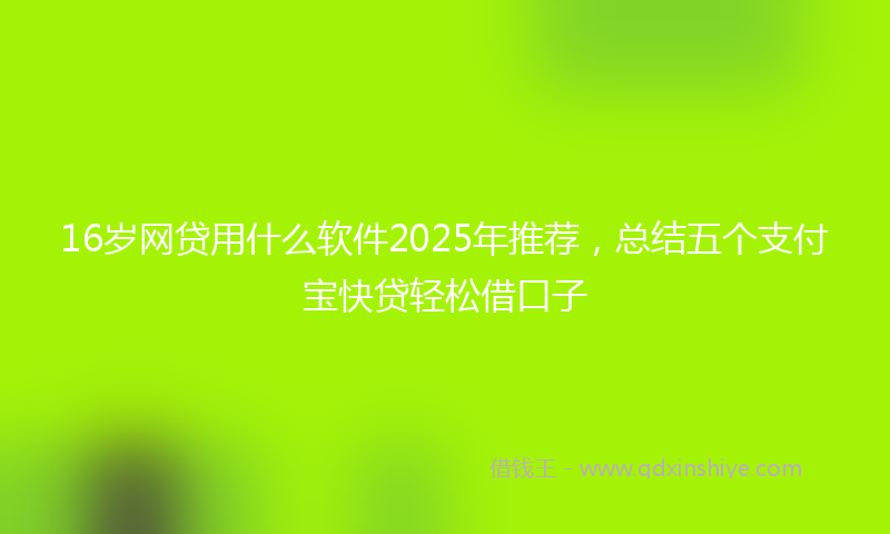 16岁网贷用什么软件2025年推荐，总结五个支付宝快贷轻松借口子