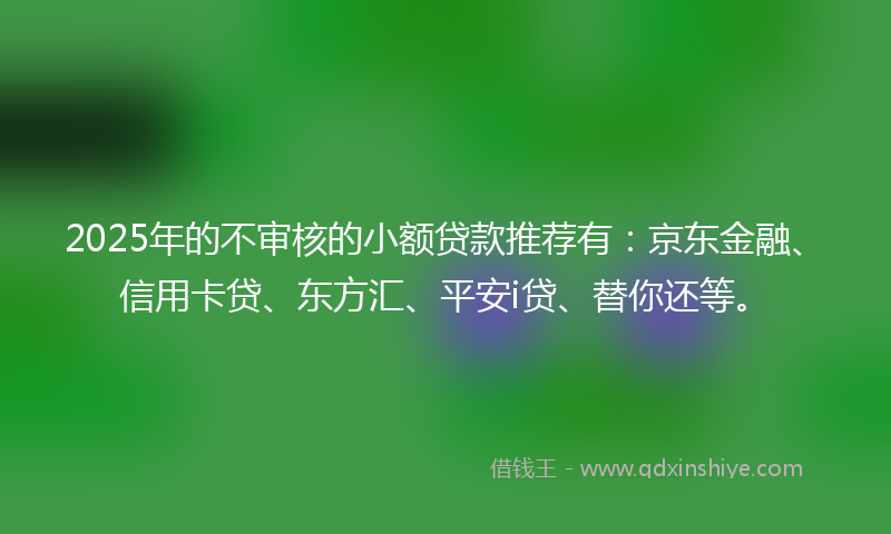 2025年的不审核的小额贷款推荐有：京东金融、信用卡贷、东方汇、平安i贷、替你还等。
