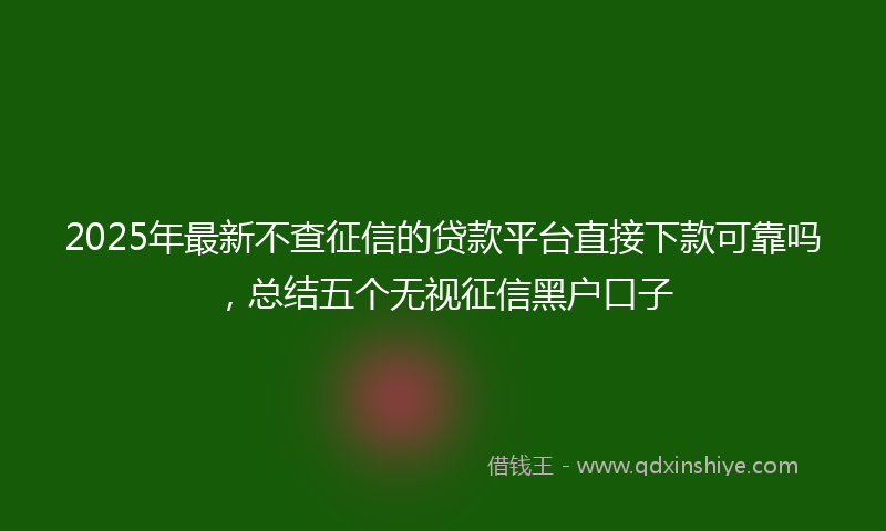 2025年最新不查征信的贷款平台直接下款可靠吗，总结五个无视征信黑户口子