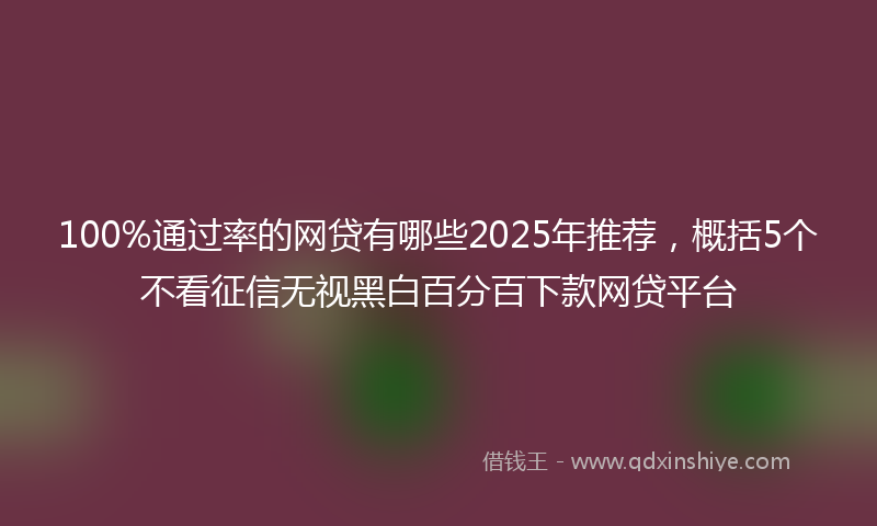 100%通过率的网贷有哪些2025年推荐，概括5个不看征信无视黑白百分百下款网贷平台
