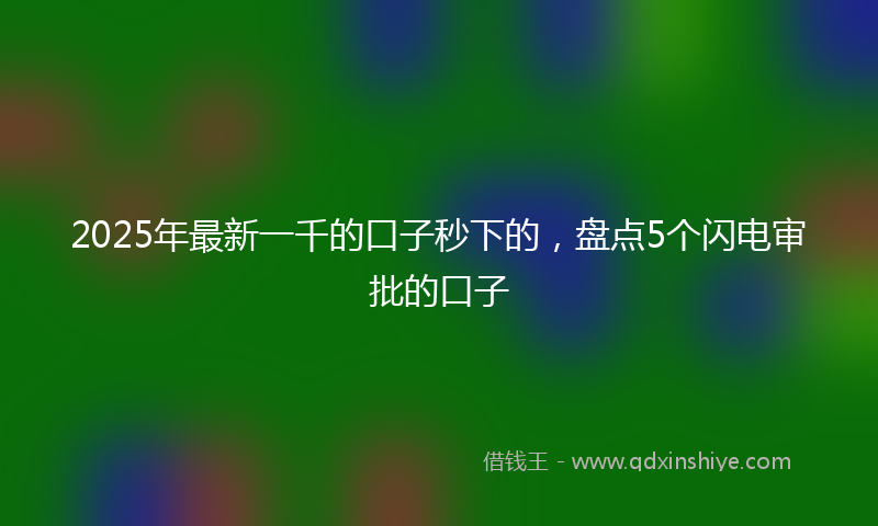 2025年最新一千的口子秒下的，盘点5个闪电审批的口子