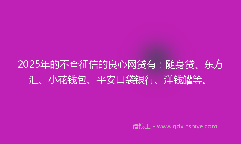 2025年的不查征信的良心网贷有：随身贷、东方汇、小花钱包、平安口袋银行、洋钱罐等。