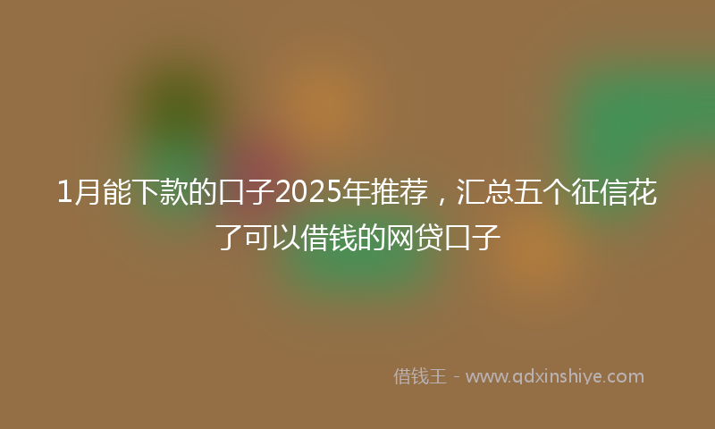 1月能下款的口子2025年推荐，汇总五个征信花了可以借钱的网贷口子
