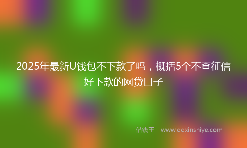 2025年最新U钱包不下款了吗，概括5个不查征信好下款的网贷口子