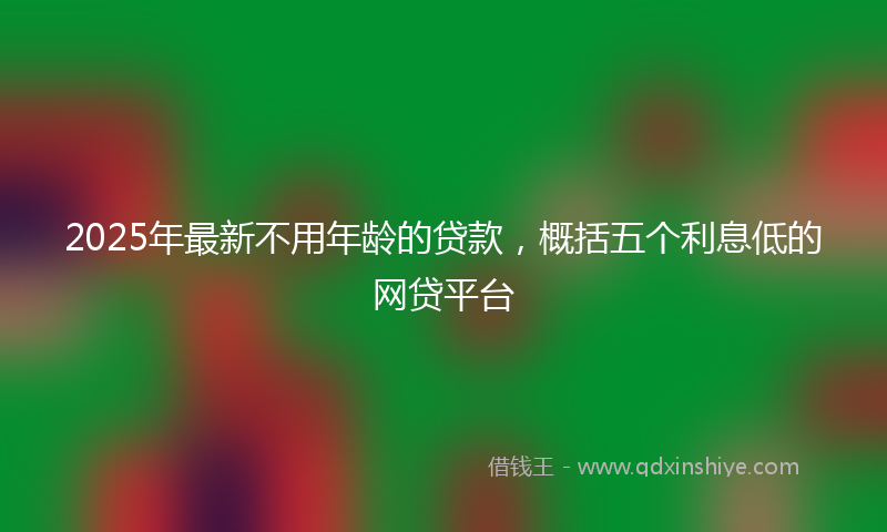 2025年最新不用年龄的贷款，概括五个利息低的网贷平台