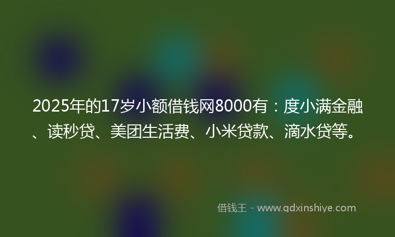 2025年的17岁小额借钱网8000有：度小满金融、读秒贷、美团生活费、小米贷款、滴水贷等。