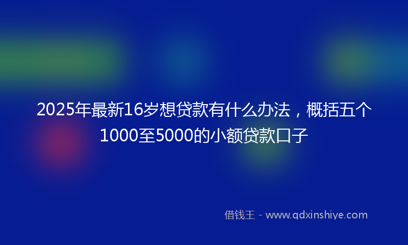 2025年最新16岁想贷款有什么办法，概括五个1000至5000的小额贷款口子
