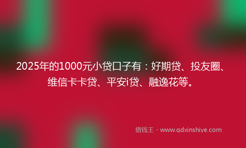 2025年的1000元小贷口子有：好期贷、投友圈、维信卡卡贷、平安i贷、融逸花等。