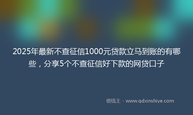 2025年最新不查征信1000元贷款立马到账的有哪些，分享5个不查征信好下款的网贷口子