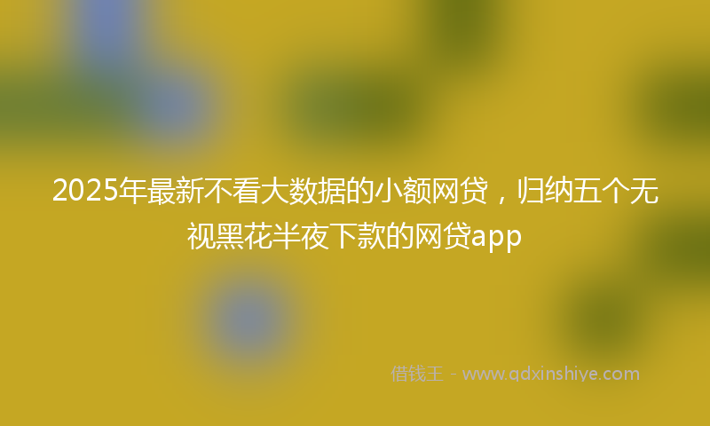 2025年最新不看大数据的小额网贷，归纳五个无视黑花半夜下款的网贷app