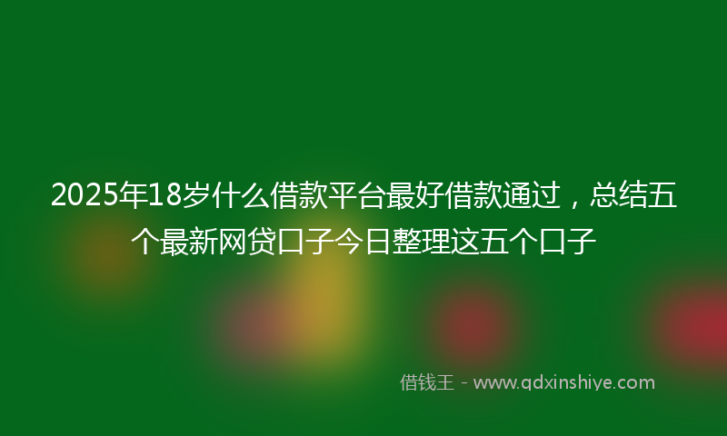 2025年18岁什么借款平台最好借款通过，总结五个最新网贷口子今日整理这五个口子