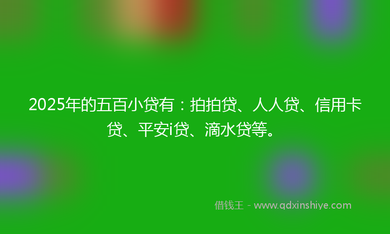 2025年的五百小贷有：拍拍贷、人人贷、信用卡贷、平安i贷、滴水贷等。