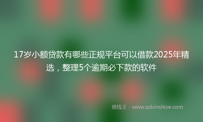 17岁小额贷款有哪些正规平台可以借款2025年精选，整理5个逾期必下款的软件