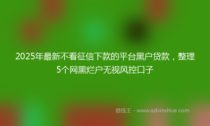 2025年最新不看征信下款的平台黑户贷款，整理5个网黑烂户无视风控口子