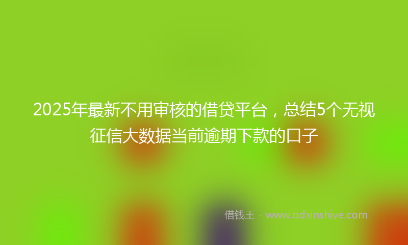 2025年最新不用审核的借贷平台，总结5个无视征信大数据当前逾期下款的口子