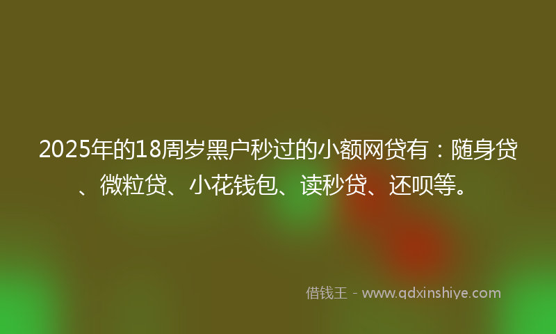 2025年的18周岁黑户秒过的小额网贷有：随身贷、微粒贷、小花钱包、读秒贷、还呗等。