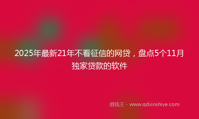 2025年最新21年不看征信的网贷，盘点5个11月独家贷款的软件