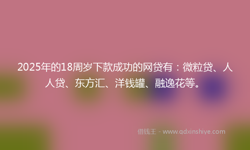 2025年的18周岁下款成功的网贷有：微粒贷、人人贷、东方汇、洋钱罐、融逸花等。