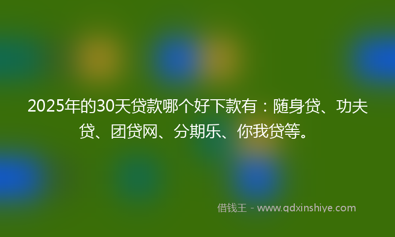 2025年的30天贷款哪个好下款有：随身贷、功夫贷、团贷网、分期乐、你我贷等。