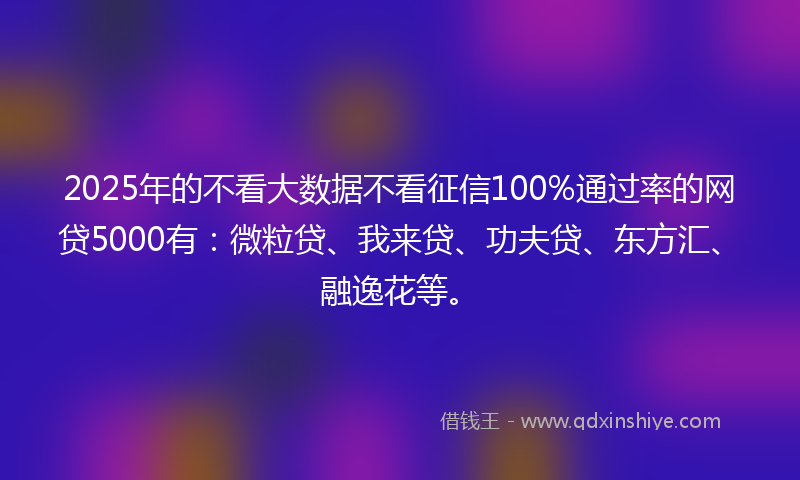 2025年的不看大数据不看征信100%通过率的网贷5000有：微粒贷、我来贷、功夫贷、东方汇、融逸花等。
