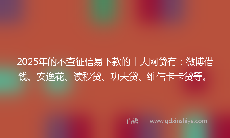 2025年的不查征信易下款的十大网贷有：微博借钱、安逸花、读秒贷、功夫贷、维信卡卡贷等。