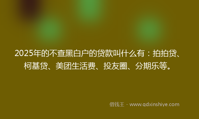 2025年的不查黑白户的贷款叫什么有：拍拍贷、柯基贷、美团生活费、投友圈、分期乐等。