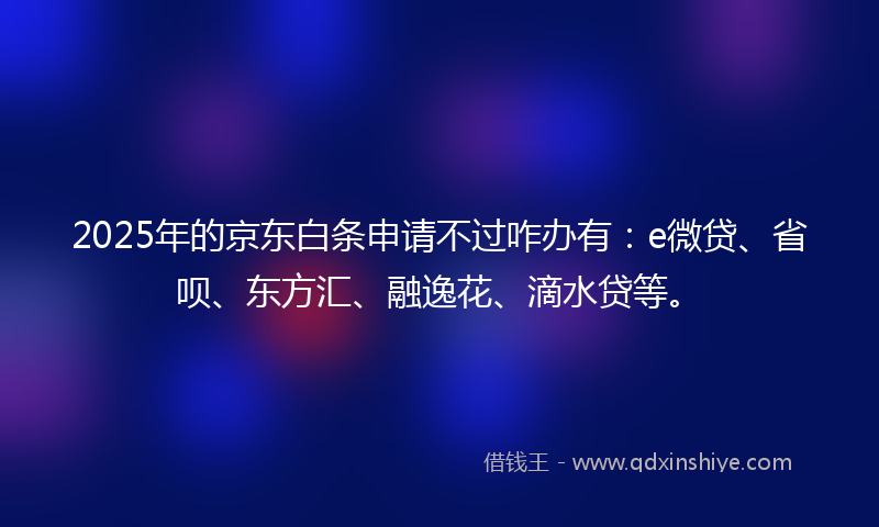 2025年的京东白条申请不过咋办有：e微贷、省呗、东方汇、融逸花、滴水贷等。
