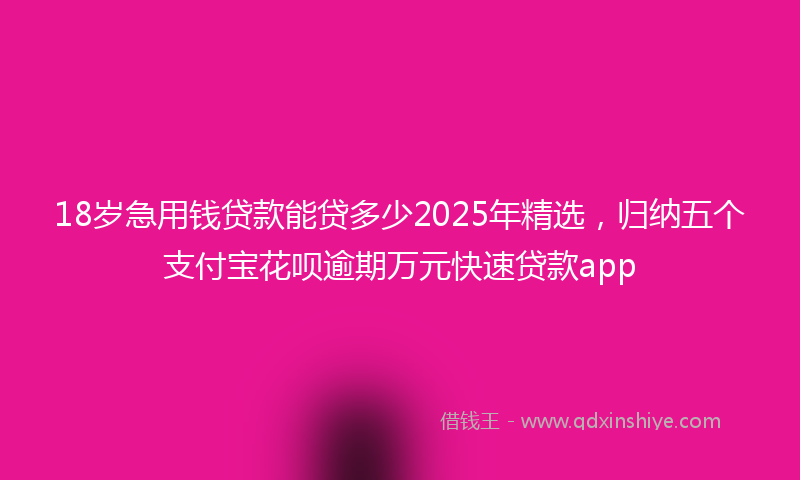 18岁急用钱贷款能贷多少2025年精选，归纳五个支付宝花呗逾期万元快速贷款app
