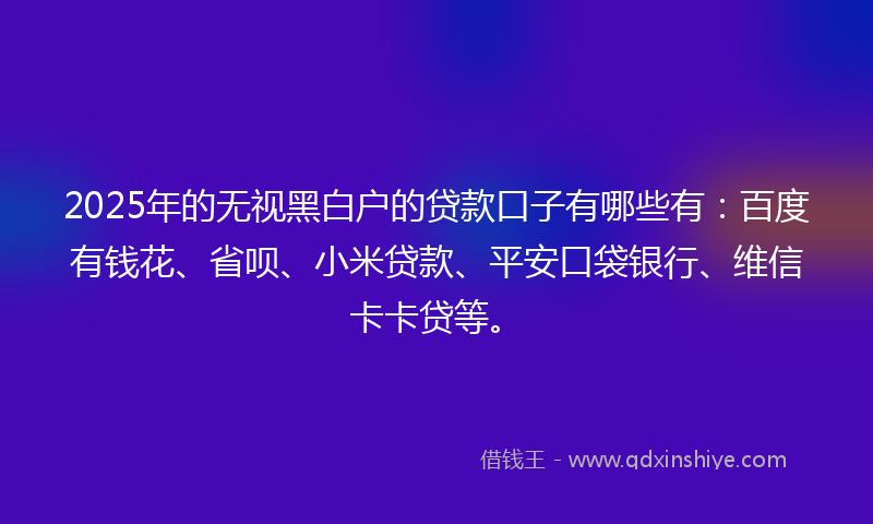 2025年的无视黑白户的贷款口子有哪些有：百度有钱花、省呗、小米贷款、平安口袋银行、维信卡卡贷等。