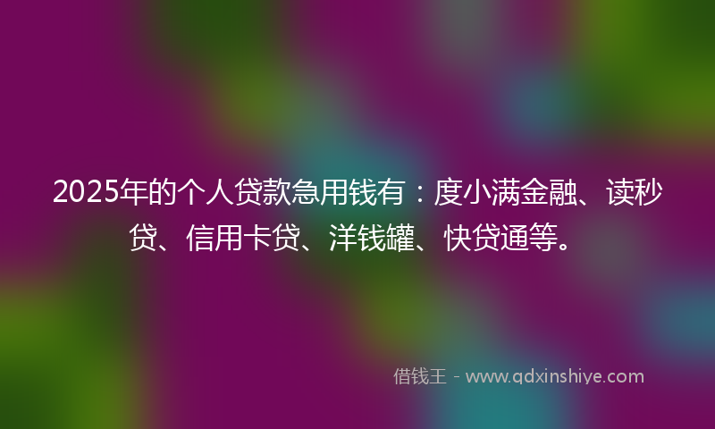 2025年的个人贷款急用钱有：度小满金融、读秒贷、信用卡贷、洋钱罐、快贷通等。