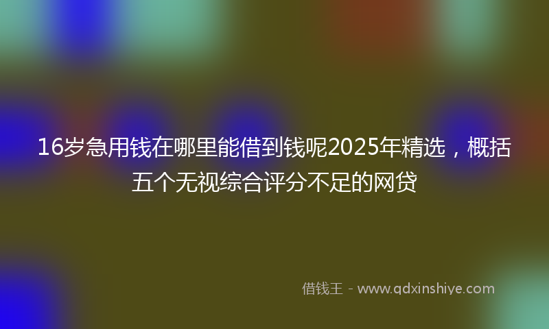 16岁急用钱在哪里能借到钱呢2025年精选，概括五个无视综合评分不足的网贷