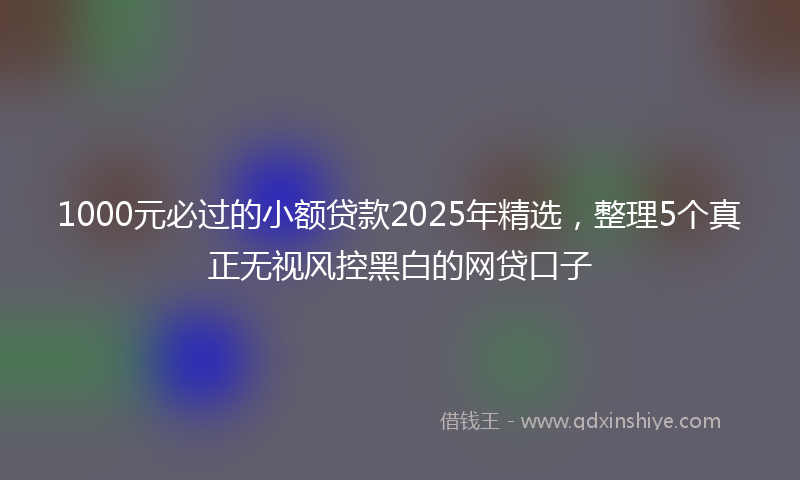 1000元必过的小额贷款2025年精选，整理5个真正无视风控黑白的网贷口子