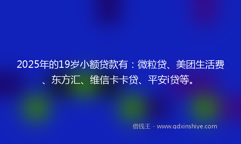 2025年的19岁小额贷款有：微粒贷、美团生活费、东方汇、维信卡卡贷、平安i贷等。