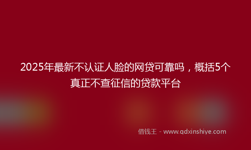2025年最新不认证人脸的网贷可靠吗，概括5个真正不查征信的贷款平台