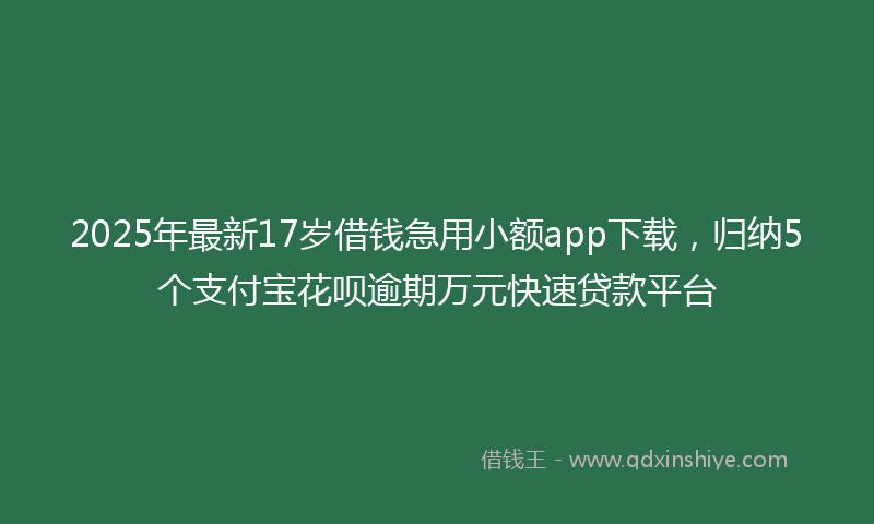 2025年最新17岁借钱急用小额app下载，归纳5个支付宝花呗逾期万元快速贷款平台