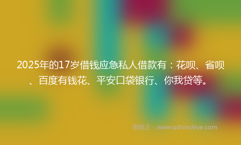 2025年的17岁借钱应急私人借款有：花呗、省呗、百度有钱花、平安口袋银行、你我贷等。
