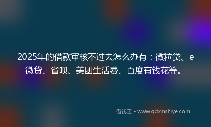 2025年的借款审核不过去怎么办有：微粒贷、e微贷、省呗、美团生活费、百度有钱花等。