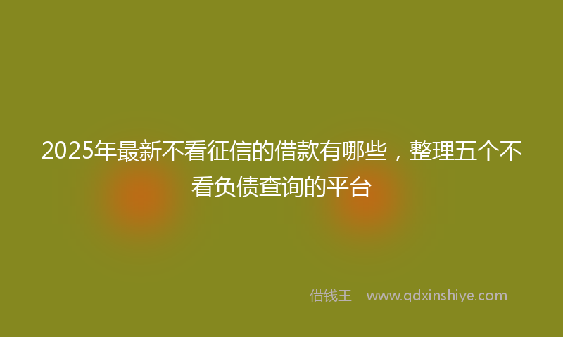 2025年最新不看征信的借款有哪些，整理五个不看负债查询的平台