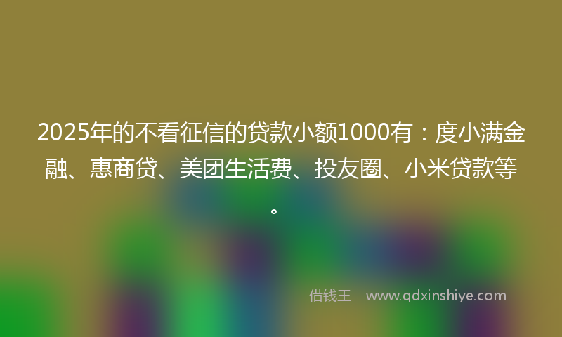 2025年的不看征信的贷款小额1000有：度小满金融、惠商贷、美团生活费、投友圈、小米贷款等。