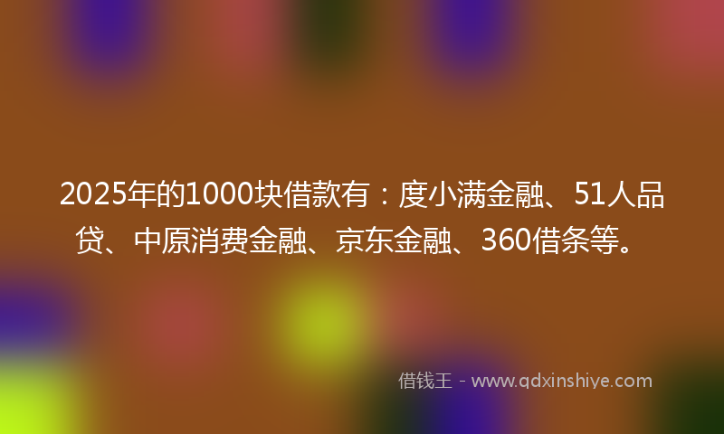 2025年的1000块借款有：度小满金融、51人品贷、中原消费金融、京东金融、360借条等。