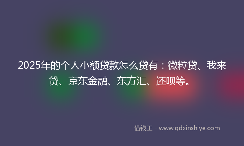 2025年的个人小额贷款怎么贷有：微粒贷、我来贷、京东金融、东方汇、还呗等。