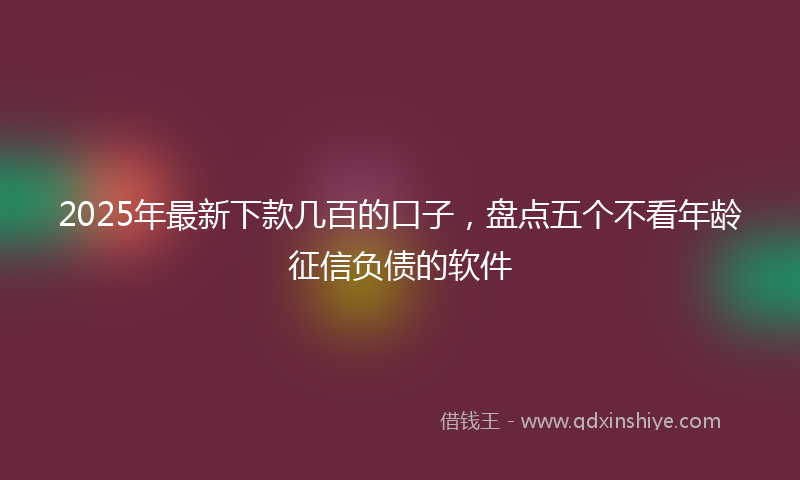 2025年最新下款几百的口子，盘点五个不看年龄征信负债的软件