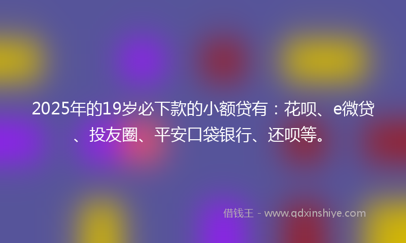 2025年的19岁必下款的小额贷有：花呗、e微贷、投友圈、平安口袋银行、还呗等。