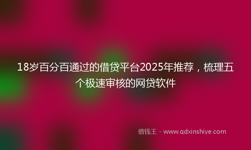 18岁百分百通过的借贷平台2025年推荐，梳理五个极速审核的网贷软件