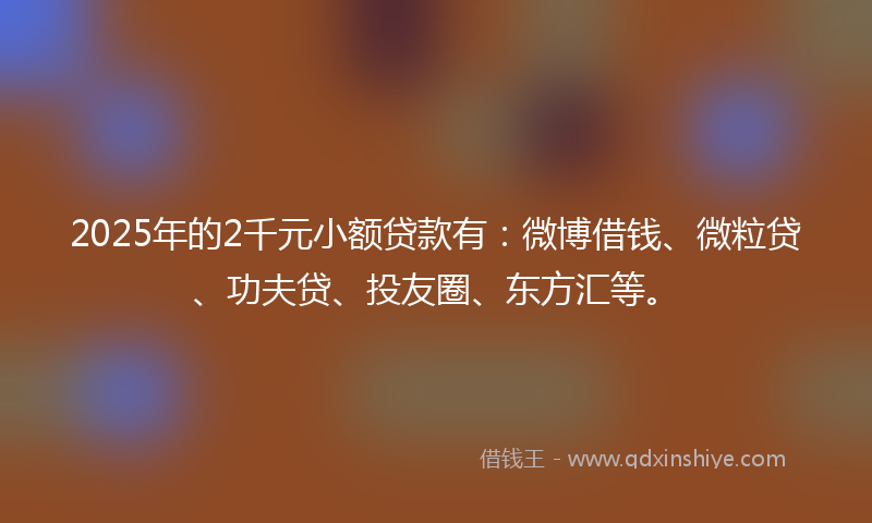 2025年的2千元小额贷款有：微博借钱、微粒贷、功夫贷、投友圈、东方汇等。