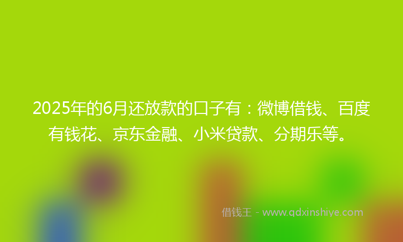 2025年的6月还放款的口子有：微博借钱、百度有钱花、京东金融、小米贷款、分期乐等。