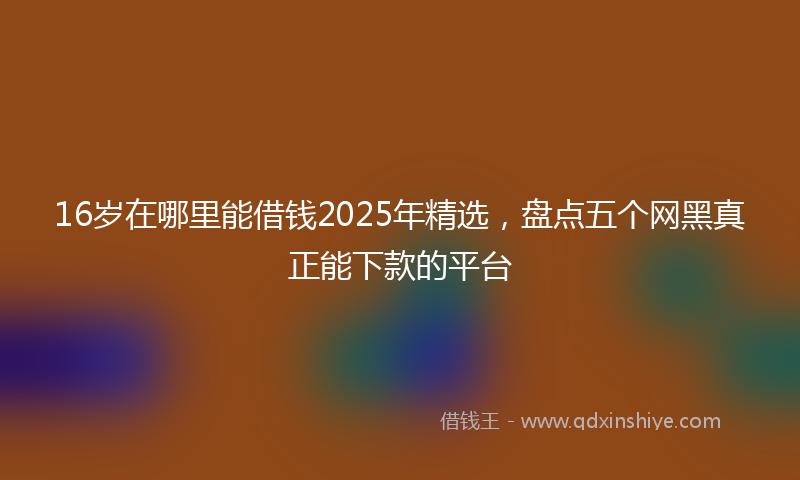 16岁在哪里能借钱2025年精选，盘点五个网黑真正能下款的平台