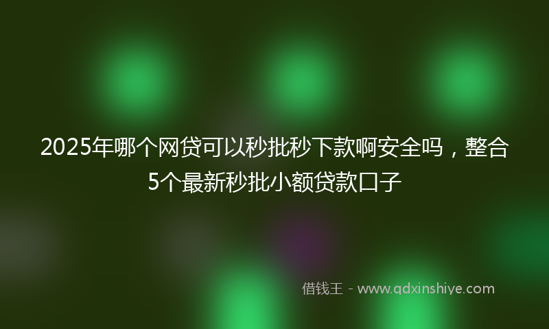 2025年哪个网贷可以秒批秒下款啊安全吗，整合5个最新秒批小额贷款口子